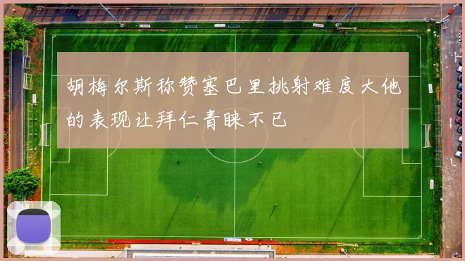 胡梅尔斯称赞塞巴里挑射难度大他的表现让拜仁青睐不已