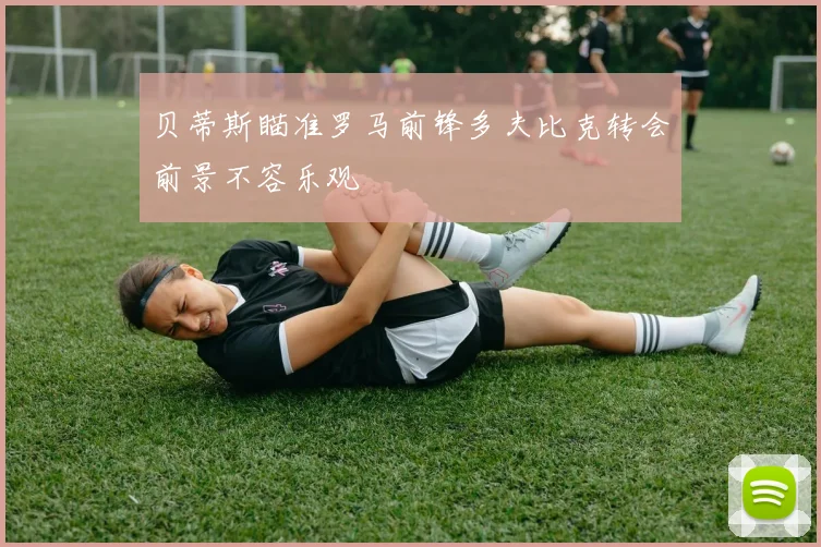 贝蒂斯瞄准罗马前锋多夫比克转会前景不容乐观